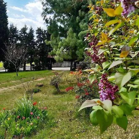 Spacious In Veneto 펜션 크레스파노 델 그라파